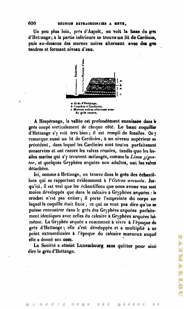 BULLETIN DE LA SOCIETE GEOLOGIQUE DE FRANCE 1852_000655.jpg